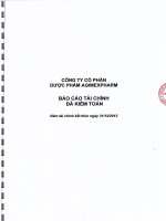 Báo cáo tài chính năm 2013 (đã kiểm toán) - CTCP Dược phẩm Agimexpharm