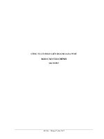 Báo cáo tài chính quý 2 năm 2015 - Công ty cổ phần Liên doanh SANA WMT