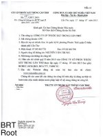 Báo cáo tài chính quý 2 năm 2015 - Công ty Cổ phần Thuốc sát trùng Cần Thơ