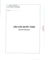 Báo cáo tài chính quý 2 năm 2015 - Công ty cổ phần Cấp thoát nước Bình Định