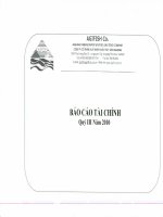 Báo cáo tài chính quý 3 năm 2010 - Công ty Cổ phần Xuất nhập khẩu Thủy sản An Giang