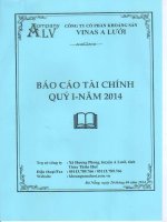 Báo cáo tài chính quý 1 năm 2014 - Công ty Cổ phần Khoáng sản Vinas A Lưới