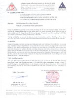 Báo cáo tài chính năm 2011 (đã kiểm toán) - CTCP Dược phẩm Agimexpharm