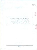 Báo cáo tài chính năm 2014 (đã kiểm toán) - Công ty Cổ phần Khoáng sản Bắc Kạn