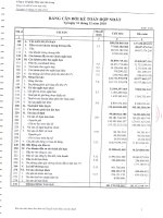 Báo cáo tài chính hợp nhất năm 2010 (đã kiểm toán) - Công ty Cổ phần Thủy Sản Cửu Long