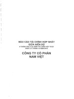 Báo cáo tài chính hợp nhất quý 2 năm 2015 (đã soát xét) - Công ty Cổ phần Nam Việt