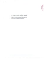 Báo cáo tài chính công ty mẹ quý 1 năm 2015 - Công ty Cổ phần Tập đoàn Công nghệ CMC