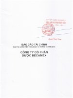 Báo cáo tài chính năm 2014 (đã kiểm toán) - Công ty cổ phần Dược Becamex