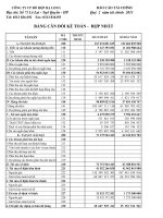 Báo cáo tài chính hợp nhất quý 2 năm 2011 - Công ty Cổ phần Đồ hộp Hạ Long