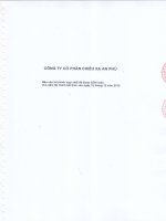 Báo cáo tài chính hợp nhất năm 2015 (đã kiểm toán) - Công ty Cổ phần Chiếu xạ An Phú