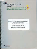 Báo cáo tài chính quý 2 năm 2013 (đã soát xét) - Công ty cổ phần Khoáng sản Á Châu