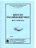 Báo cáo tài chính hợp nhất quý 1 năm 2013 - Công ty Cổ phần Xây dựng 47