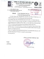 Báo cáo tài chính hợp nhất quý 1 năm 2015 - Công ty Cổ phần Đầu tư BVG