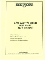 Báo cáo tài chính hợp nhất quý 3 năm 2013 - Công ty Cổ phần Beton 6