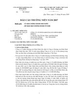 Báo cáo thường niên năm 2007 - Công ty cổ phần Khoáng sản Bình Định