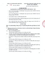 Nghị quyết Đại hội cổ đông bất thường - Công ty Cổ phần Đường Biên Hoà