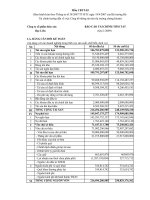 Báo cáo tài chính quý 1 năm 2009 - Công ty Cổ phần Thủy sản Bạc Liêu