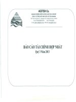 Báo cáo tài chính hợp nhất quý 3 năm 2013 - Công ty Cổ phần Xuất nhập khẩu Thủy sản An Giang