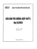 Báo cáo tài chính hợp nhất quý 2 năm 2013 - Công ty Cổ phần Thủy Sản Cửu Long
