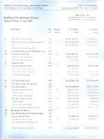 Báo cáo tài chính năm 2006 (đã kiểm toán) - Công ty Cổ phần Thủy điện miền Trung