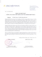 Báo cáo KQKD hợp nhất quý 2 năm 2010 (đã kiểm toán) - Công ty Cổ phần Đường Biên Hoà