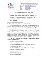 Báo cáo thường niên năm 2009 - Công ty Cổ phần Thương nghiệp Cà Mau