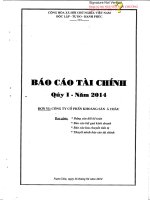 Báo cáo tài chính quý 1 năm 2014 - Công ty cổ phần Khoáng sản Á Châu