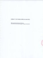 Báo cáo tài chính công ty mẹ năm 2015 (đã kiểm toán) - Công ty Cổ phần Chiếu xạ An Phú