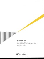 Báo cáo tài chính công ty mẹ quý 2 năm 2010 (đã soát xét) - Tập đoàn Bảo Việt