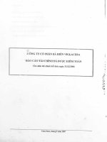 Báo cáo tài chính năm 2006 (đã kiểm toán) - Công ty Cổ phần Viglacera Bá Hiến