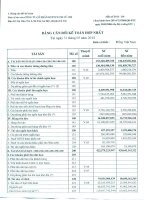 Báo cáo tài chính hợp nhất quý 1 năm 2014 - Công ty Cổ phần Đầu tư Phát triển Công nghiệp - Thương mại Củ Chi