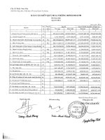 Báo cáo tài chính hợp nhất quý 2 năm 2013 - Công ty Cổ phần Nam Việt