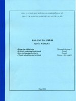 Báo cáo tài chính quý 1 năm 2011 - Công ty Cổ phần Phát triển Phụ gia và Sản phẩm Dầu mỏ