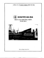 Báo cáo thường niên năm 2012 - Công ty Cổ phần Nhiệt điện Bà Rịa