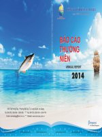 Báo cáo thường niên năm 2014 - Công ty Cổ phần Nam Việt