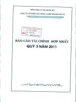 Báo cáo tài chính hợp nhất quý 3 năm 2011 - Công ty Cổ phần Xây dựng và Kinh doanh Vật tư