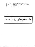 Báo cáo tài chính hợp nhất quý 1 năm 2013 - Công ty Cổ phần Nhựa Bình Minh