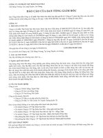 Báo cáo tài chính công ty mẹ quý 1 năm 2016 - Công ty Cổ phần Tập đoàn Sao Mai