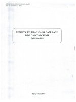 Báo cáo tài chính công ty mẹ quý 1 năm 2016 - Công ty cổ phần Cảng Cam Ranh