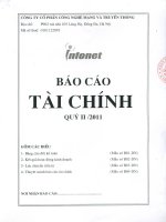 Báo cáo tài chính công ty mẹ quý 2 năm 2011 - Công ty Cổ phần Công nghệ Mạng và Truyền thông