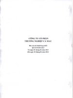 Báo cáo tài chính hợp nhất quý 2 năm 2013 - Công ty Cổ phần Thương nghiệp Cà Mau