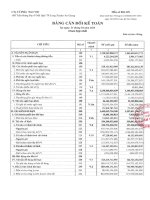 Báo cáo tài chính công ty mẹ quý 1 năm 2015 - Công ty Cổ phần Nam Việt