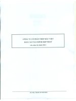 Báo cáo tài chính hợp nhất năm 2011 (đã kiểm toán) - Công ty Cổ phần Đầu tư BVG