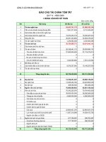 Báo cáo tài chính quý 4 năm 2009 - Công ty cổ phần Vicem Bao bì Bỉm Sơn