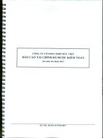 Báo cáo tài chính công ty mẹ năm 2011 (đã kiểm toán) - Công ty Cổ phần Đầu tư BVG