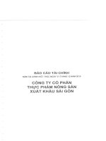 Báo cáo tài chính công ty mẹ năm 2015 (đã kiểm toán) - Công ty cổ phần Thực phẩm Nông sản Xuất khẩu Sài Gòn