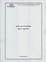 Báo cáo tài chính quý 1 năm 2013 - Công ty Cổ phần Chứng khoán An Phát