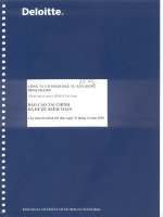 Báo cáo tài chính công ty mẹ năm 2010 (đã kiểm toán) - Công ty Cổ phần Đầu tư Xây dựng Bình Chánh