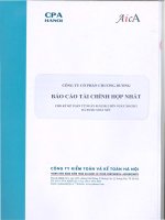 Báo cáo tài chính hợp nhất quý 2 năm 2012 (đã soát xét) - Công ty Cổ phần Chương Dương