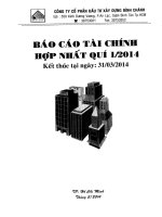 Báo cáo tài chính hợp nhất quý 1 năm 2014 - Công ty Cổ phần Đầu tư Xây dựng Bình Chánh